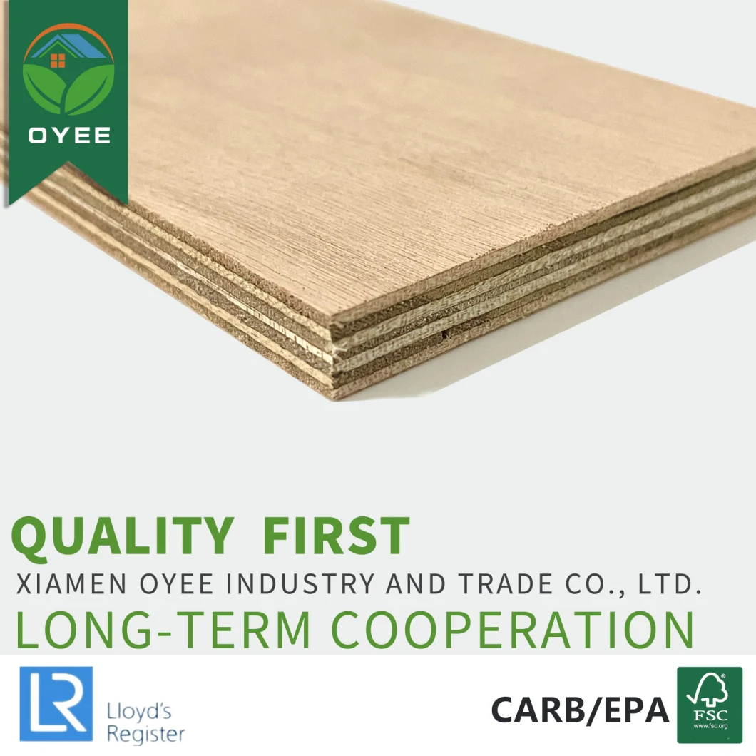 Fire-Proof Grade Furniture Used HPL Fancy Plywood for Building Material with CE Certificate