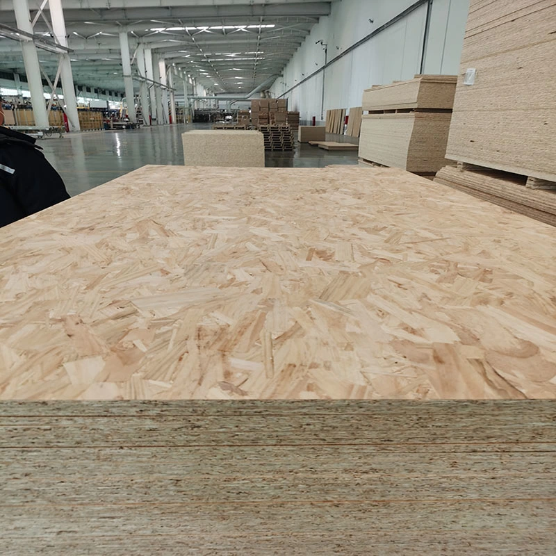 Manufacturer Wholesale OSB Board OSB Panel for Australia 9mm 11.1mm 12mm 15mm 18mm 22mm