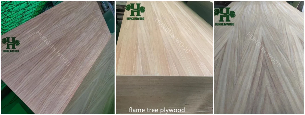 Plywood Okoume/Bleached Poplar/Bintangor/Beech/Pencil Cedar/Birch/Pine/Keruing/Melamine/Laminated/Hardwood/Commercial Plywood for Furniture