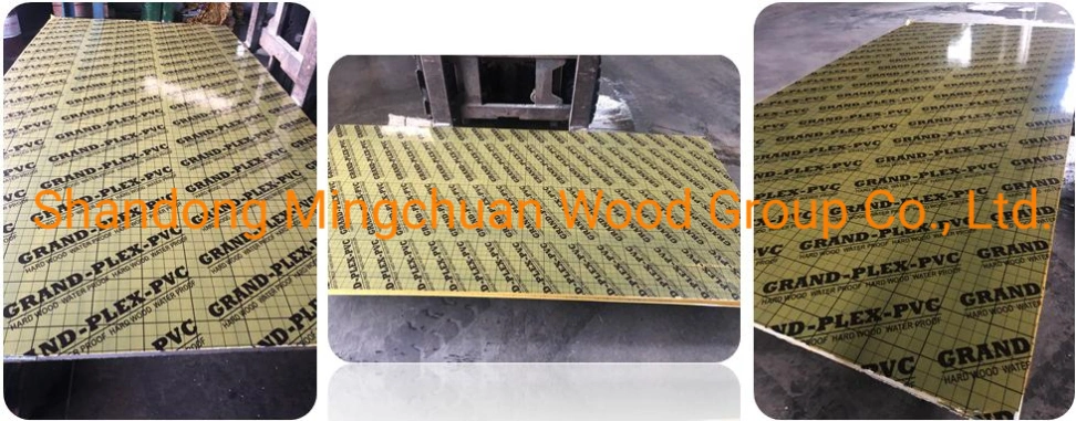 18mm Hardwood PP Plywood Green PP Plastic Film Faced Plywood