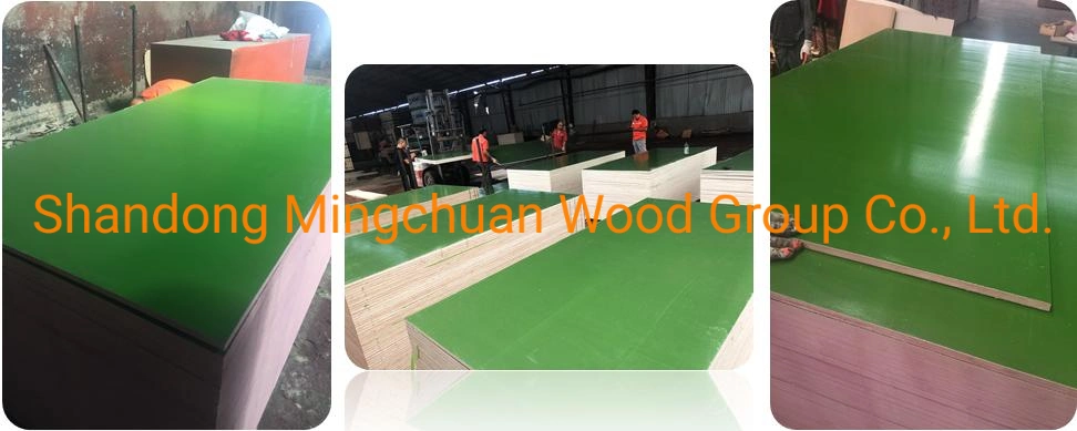 18mm Hardwood PP Plywood Green PP Plastic Film Faced Plywood