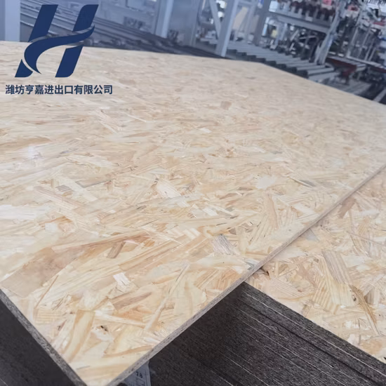 Hochwertige 6~18 mm OSB-Platte für den Bau- und Baubereich