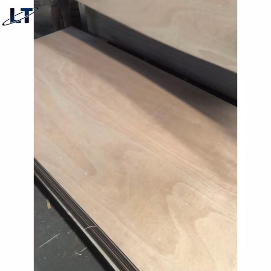 Hochwertige 18-mm-Birkensperrholzplatte mit 4 x 8 Okoume-Beschichtung, kommerziell für Möbel